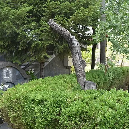 ゲストハウス Orpheus Hause Nedelino